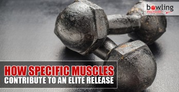 How Specific Muscles Contribute to an Elite Release