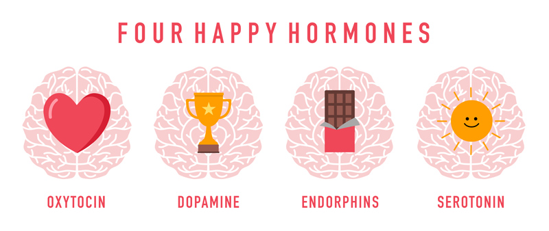 Four well-known chemicals that produce good feelings in your brain are oxytocin, dopamine, endorphins, and serotonin.